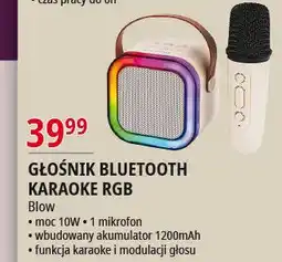 E.Leclerc Głośnik karaoke rgb Blow oferta