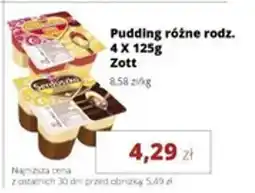 Torimpex Pudding Zott oferta