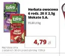 Torimpex Herbata owocowa Loyd oferta