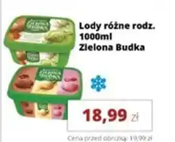 Torimpex Lody Zielona Budka oferta