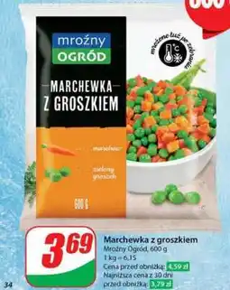Dino MARCHEWKA Z GROSZKIEM oferta