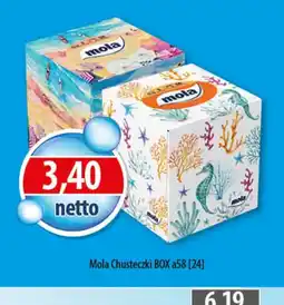 DUO-TES Mola Chusteczki BOX oferta