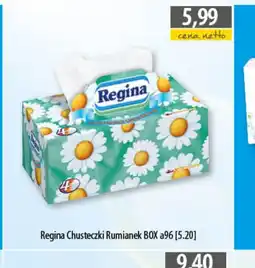DUO-TES Chusteczki higieniczne Regina oferta