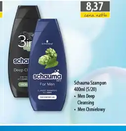 DUO-TES Schauma Szampon oferta