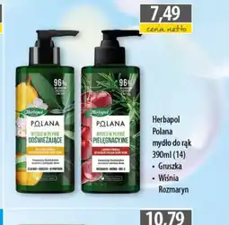 DUO-TES Mydło do rąk Herbapol Polana oferta