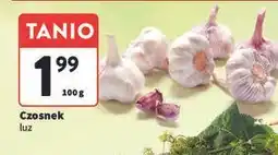 Intermarche Czosnek oferta