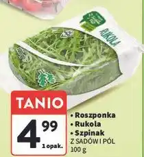 Intermarche Szpinak młody Z Sadów I Pól oferta