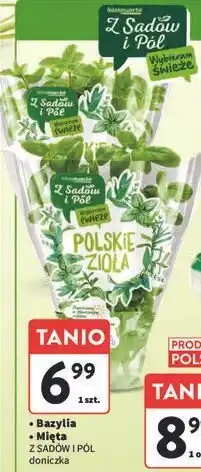 Intermarche Mięta Z Sadów I Pól oferta