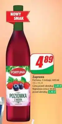 Dino Zaprawa oferta