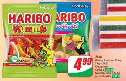 Dino Żelki oferta