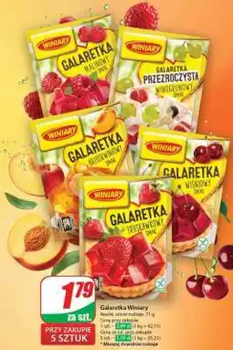 Dino Galaretka WINIARY oferta