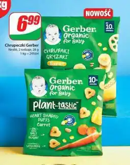 Dino Chrupeczki Gerber oferta