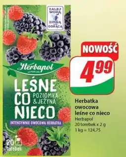 Dino Herbatka owocowa leśne co nieco oferta