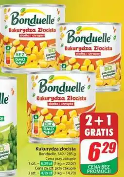 Dino Kukurydza złocista oferta