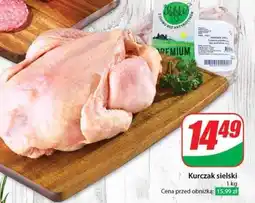 Dino Kurczak sielski oferta