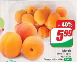Dino Morela oferta