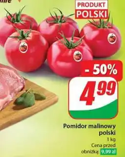 Dino Pomidor malinowy polski oferta