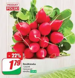 Dino Rzodkiewka oferta