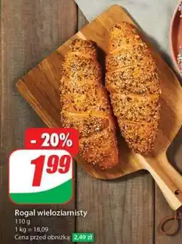 Dino Rogal wieloziarnisty oferta