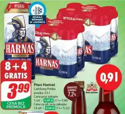 Dino Piwo HARNAŚ oferta
