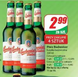 Dino Piwo Budweiser oferta