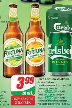 Dino Piwo Fortuna smakowe oferta