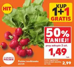 Kaufland Polska rzodkiewka pęczek oferta