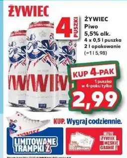 Kaufland Żywiec oferta