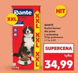 Kaufland DANTE Sucha karma dla psów z wołowiną 13 kg opakowanie oferta