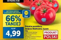 Lidl Pomidory malinowe polska oferta