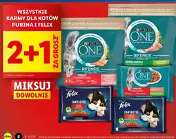 Lidl Karma dla kota wołowina i kurczak Purina Felix Fantastic oferta