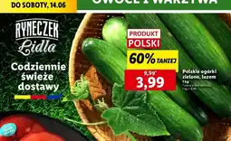 Lidl Ogórek polski oferta