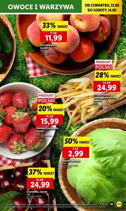 Lidl Truskawki polska oferta