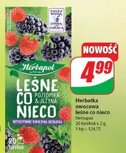 Dino Herbata leśne co nieco Herbapol oferta