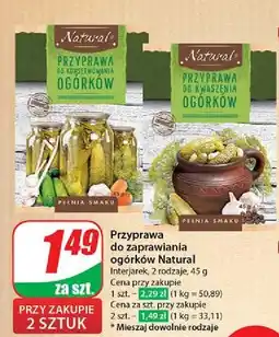 Dino Przyprawa do konserwowania ogórków Natural oferta