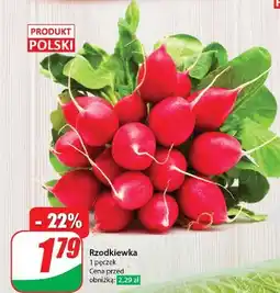 Dino Rzodkiew polska oferta