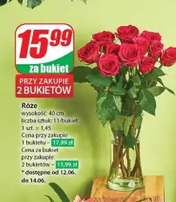 Dino Róża 40 cm oferta