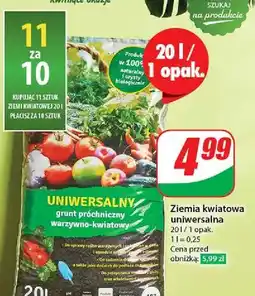 Dino Ziemia uniwersalna oferta