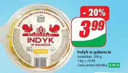 Dino Indyk w galarecie Smak Mak oferta