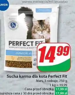 Dino Karma dla kota junior oferta