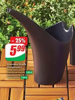 Dino Konewkka giraffe 1.7 l Prosperplast oferta