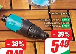 Dino Zraszacz prosty oferta