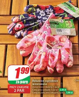 Dino Rękawice ogrodowe oferta