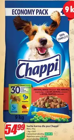 Dino Karma dla psa wołowina Chappi oferta