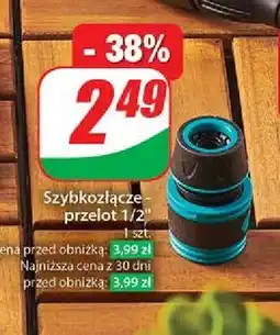 Dino Szybkozłącze 1/2 oferta