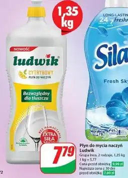 Dino Płyn do mycia naczyń cytrynowy Ludwik oferta