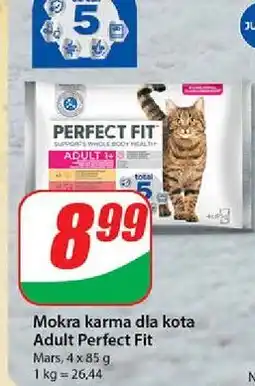 Dino Karma dla kota adult 1+ Perfect Fit oferta