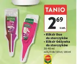 Intermarche Eliksir do storczyków Biopon oferta