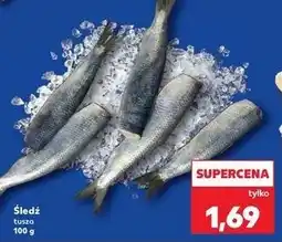 Kaufland Śledz tusza oferta