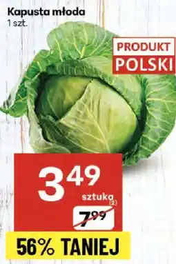 Delikatesy Centrum Kapusta młoda 1 szt. Delikatesy Centrum oferta